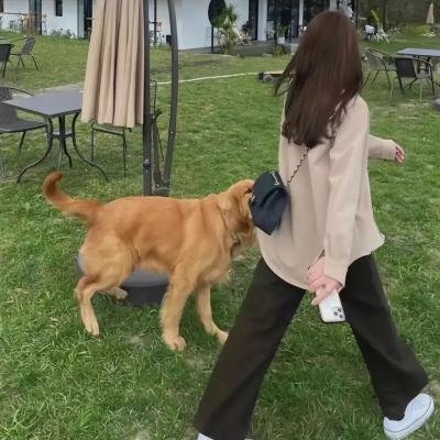 第十圈